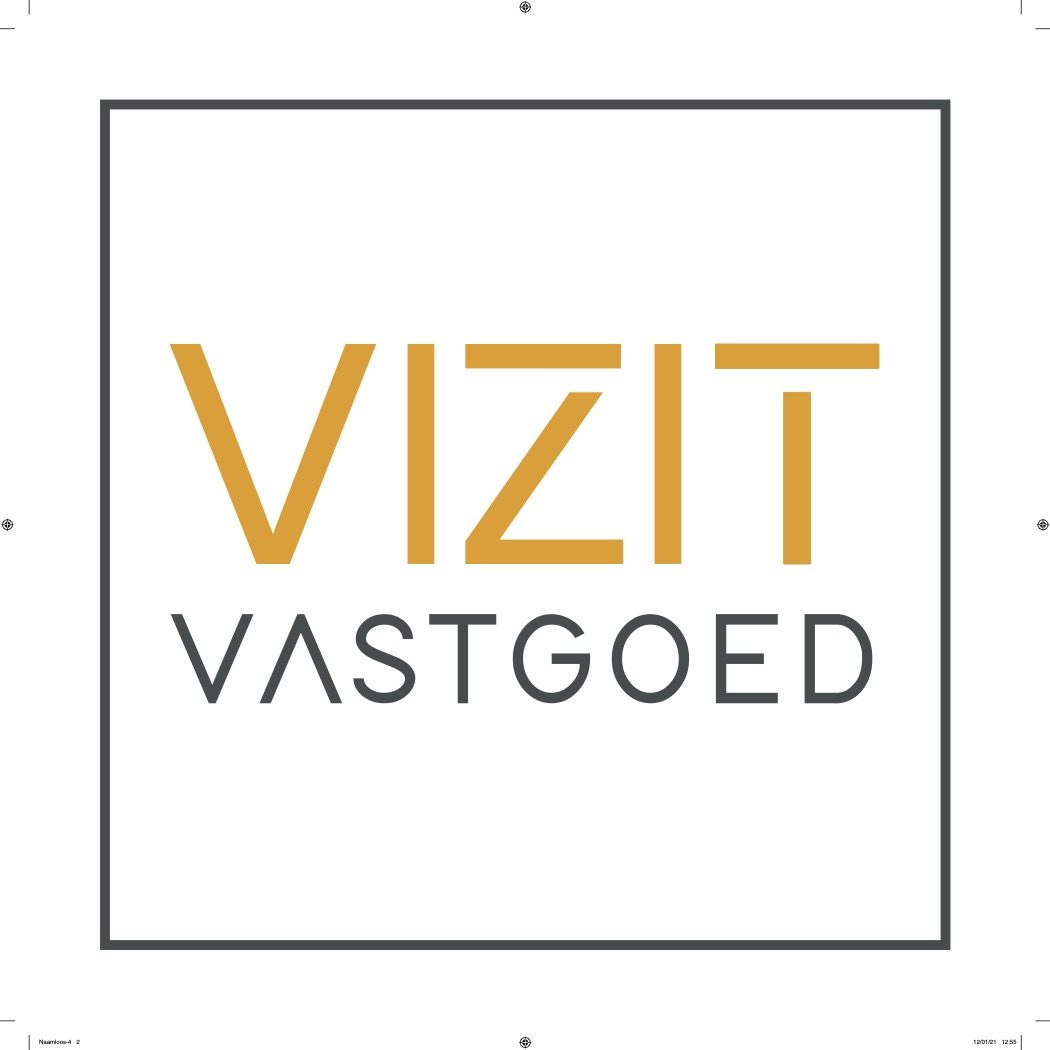 VIZIT PANTONE